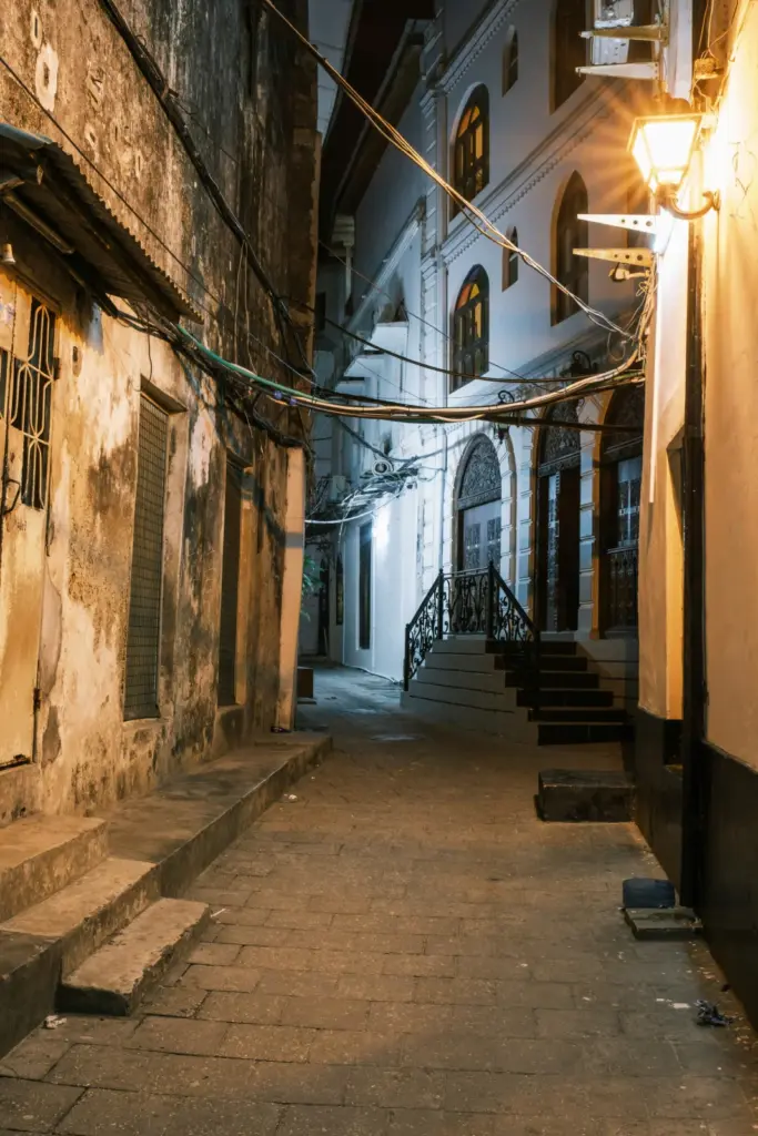 Stone Town Zanzibar Street Night