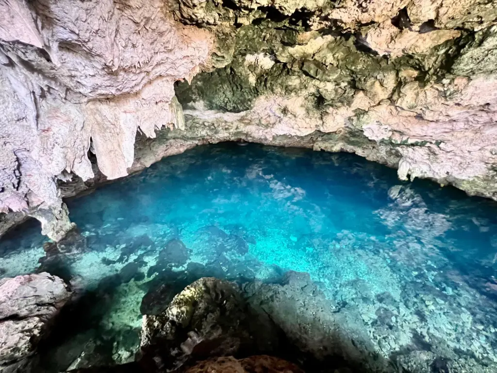 Zanzibar Cave Pool Swimming Things to Do