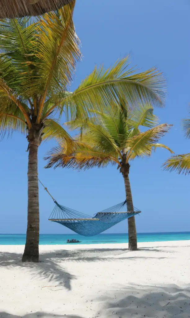 Zanzibar Beach Hammock Palm Trees Budget Accommodation