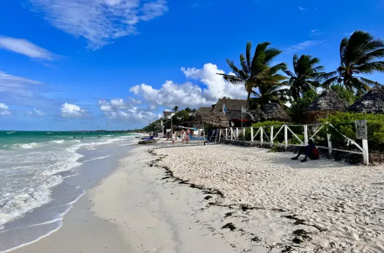 Paje Beach Zanzibar Kitesurfing Restaurant Hotel