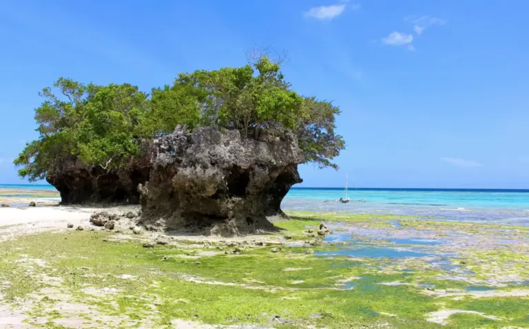 Pemba Island Rocks Beach