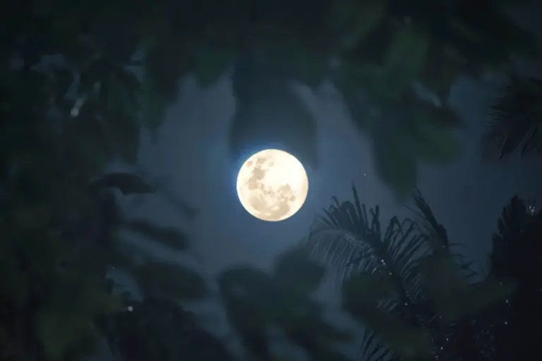 Zanzibar Full Moon
