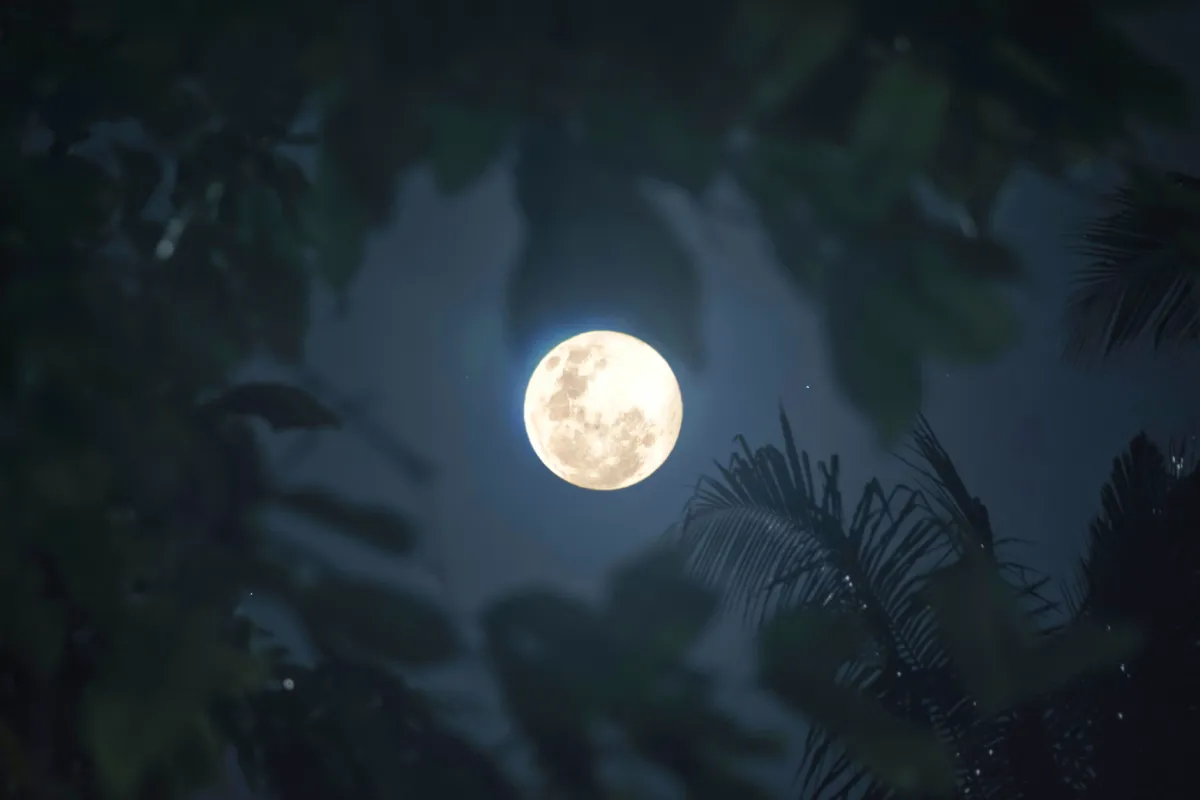 Zanzibar Full Moon