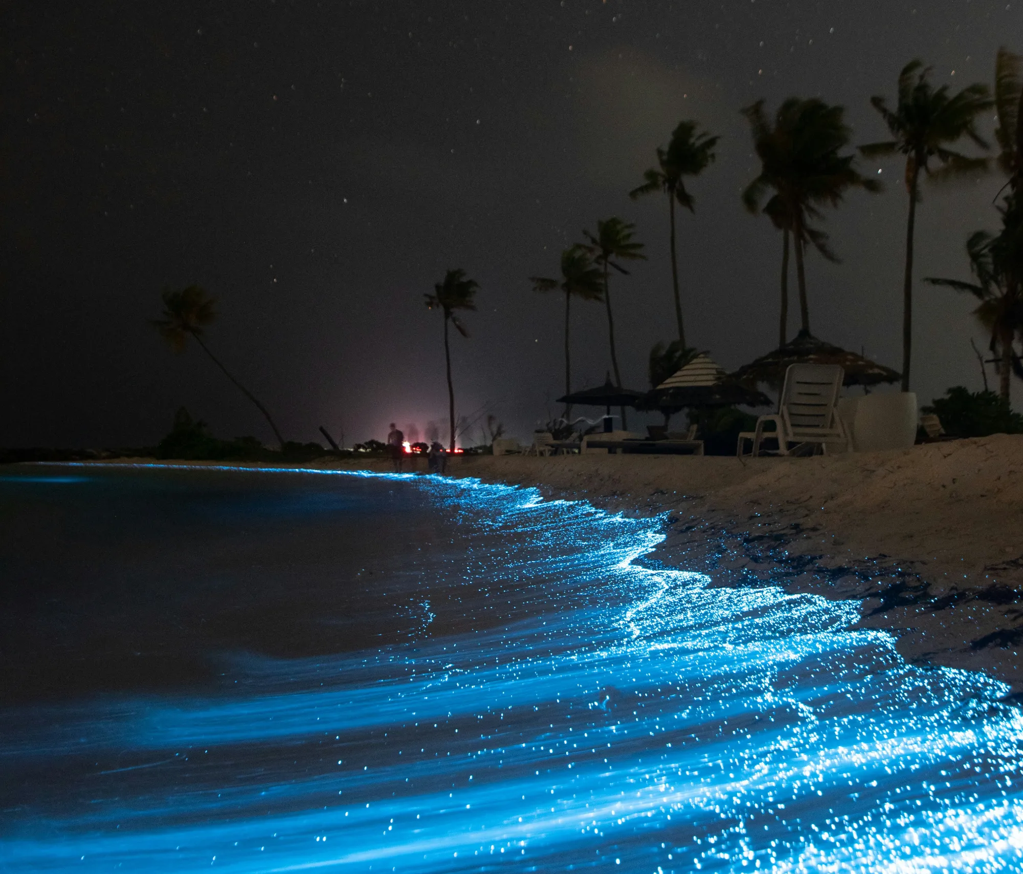 Bioluminescence glow ocean beach